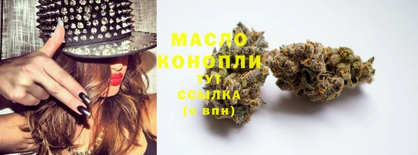 сатива Алексеевка