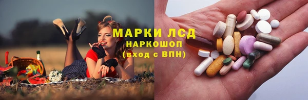 сатива Алексеевка