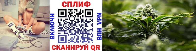Канабис LSD WEED  продажа наркотиков  Северская 